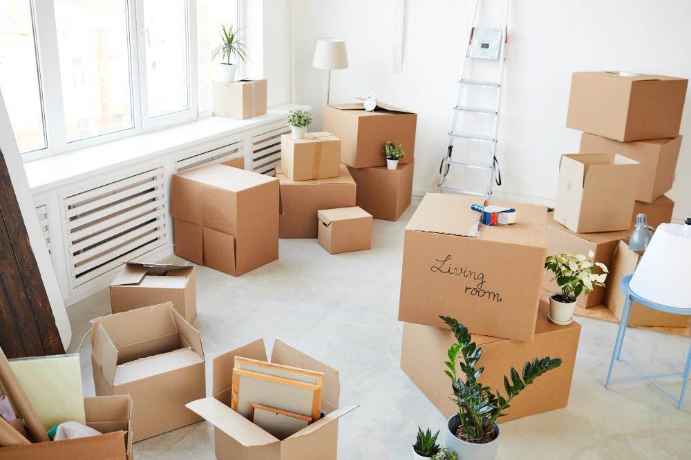 Moving Day - Essentials Only