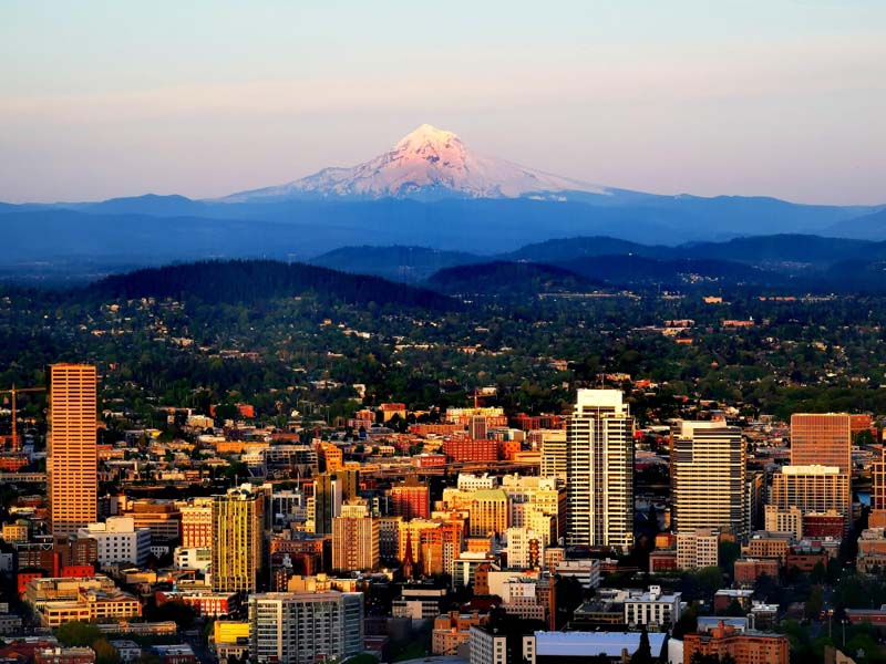 Professional Moving Services in Portland