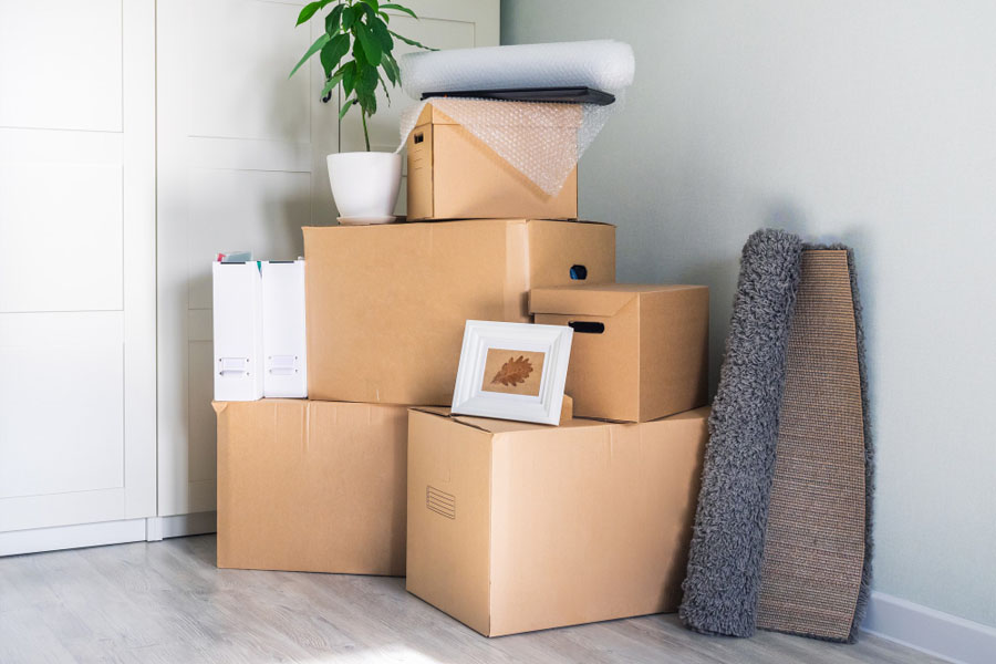 1-800-GOT-JUNK vs Other Junk Removal Companies: Who Else is in the Ring?