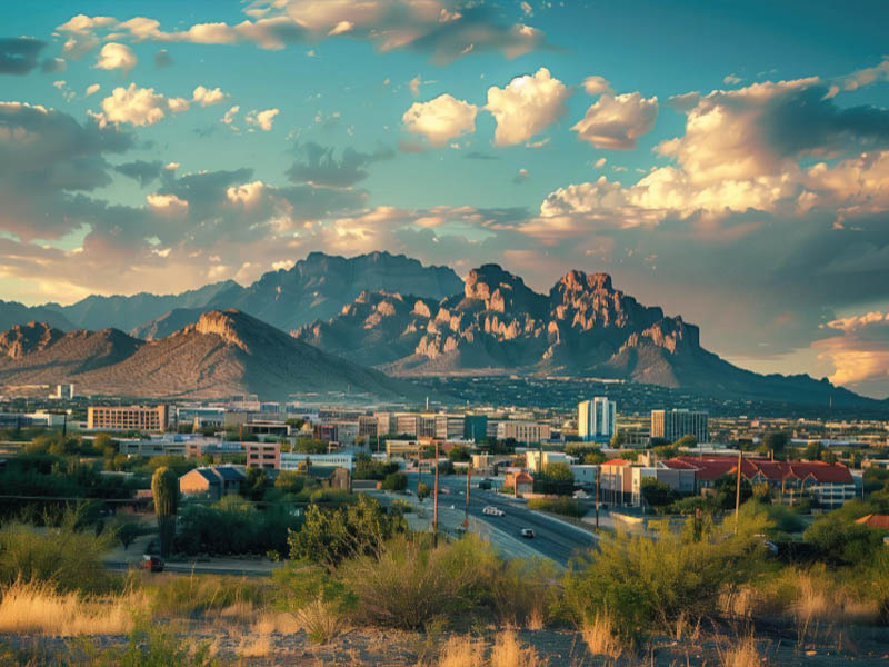 Professional Moving Services in Las Cruces