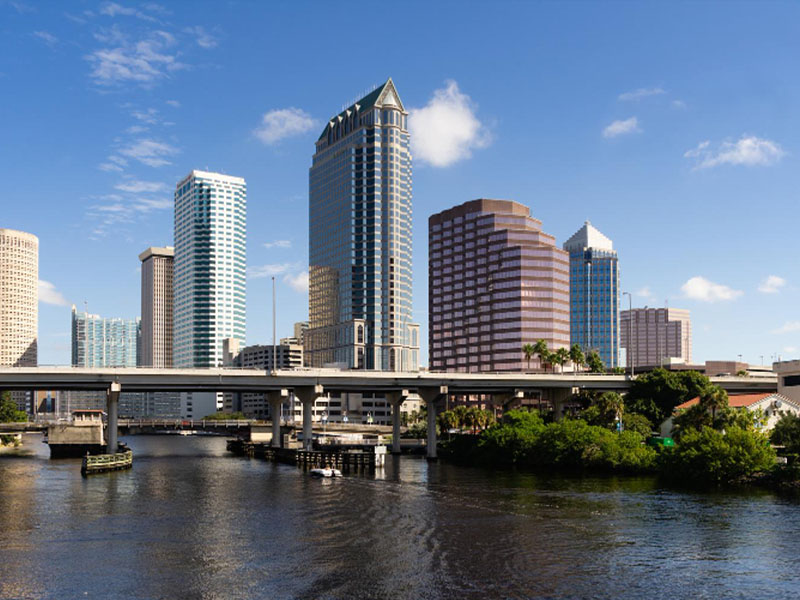 Professional Moving Services in Tampa