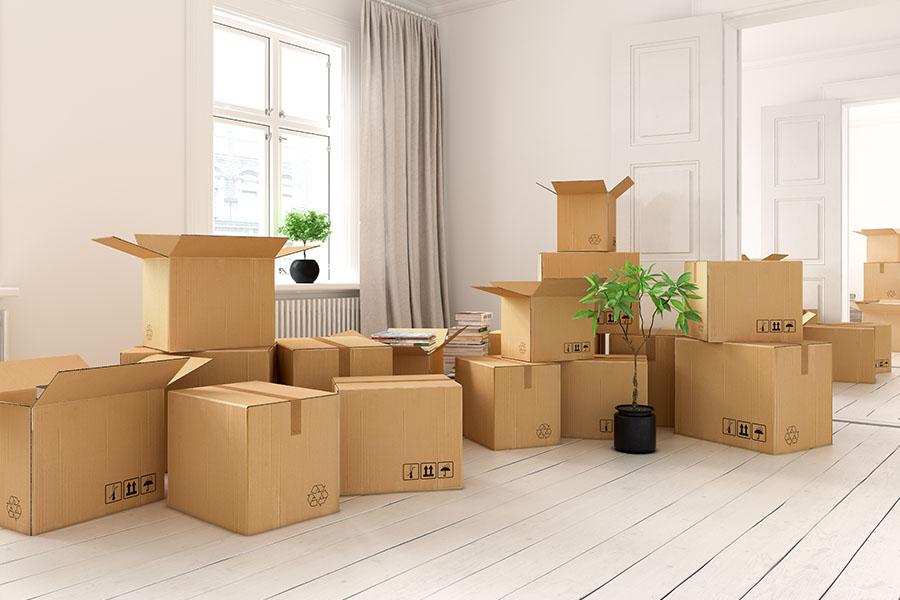 Services Offered by Blue Men Moving LLC