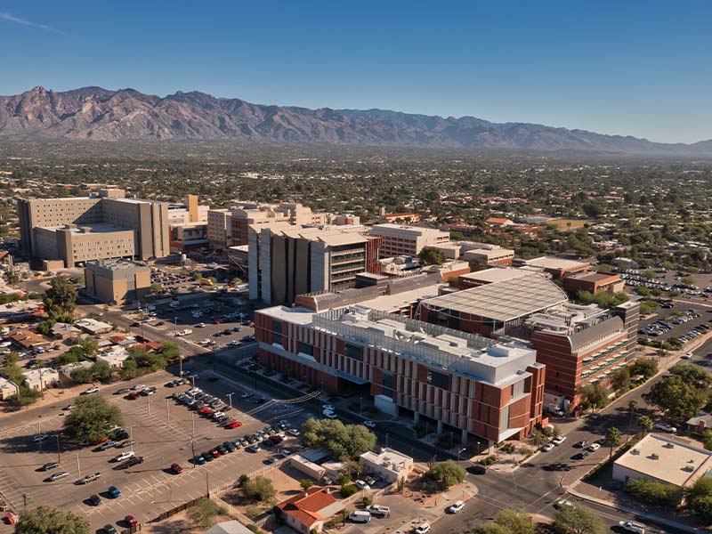 Professional Moving Services in Tucson