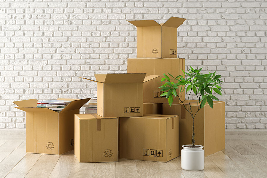 What Can They Actually Do for You